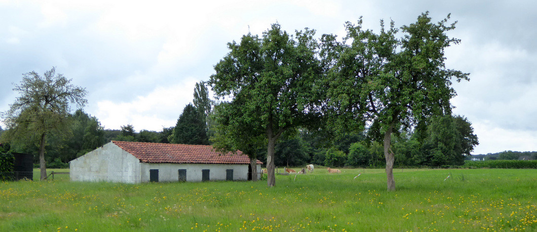 Heerlijk Niets Doen Bij B&B Landgoedhoeve Vosbergen Buiten Heerde ...